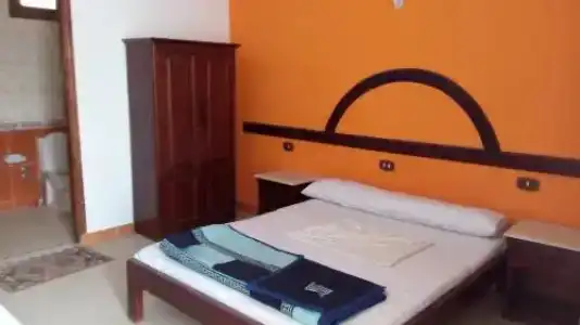 Octopus Resort - 3