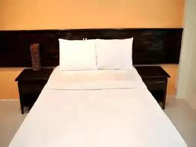 Lek City - 2