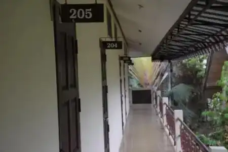 Timeless Hostel - 0