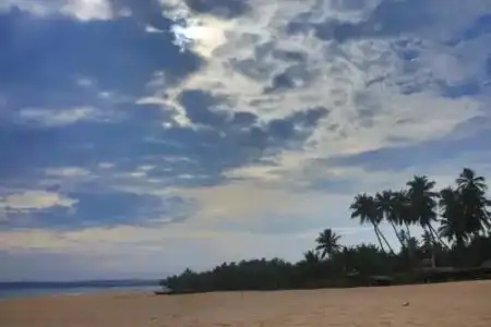 Mangrove Beach Chalets - 5