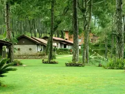 Himalayan Height Resort - 11