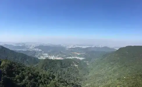 Vienna International Shenzhen Jingtian Banch - 10
