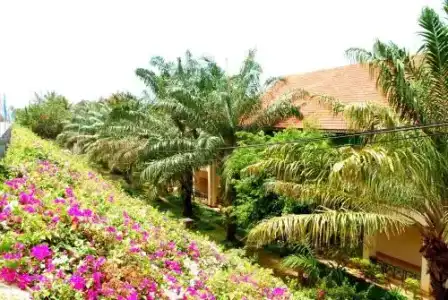Hon Rom Sunlight Resort - 6