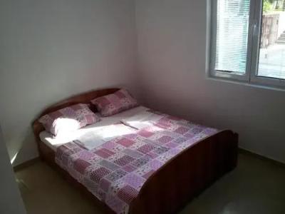 Guesthouse Morris Rafailovici - 7