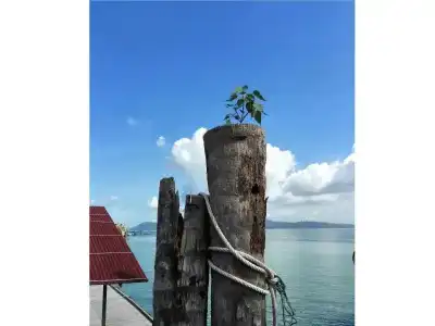 Pangkor Home Sea Village - 2