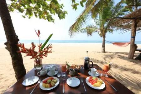 Mangrove Beach Chalets - 6
