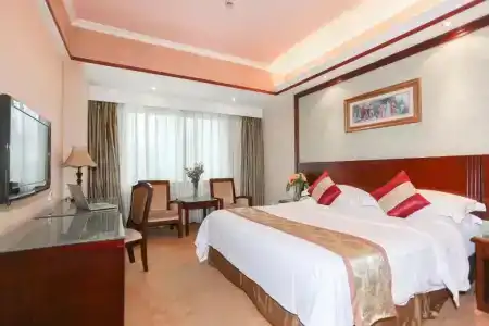 Vienna International Shenzhen Jingtian Banch - 5