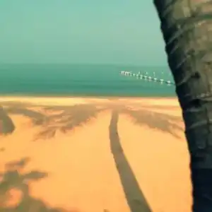 Sea Village Beach Front - 8
