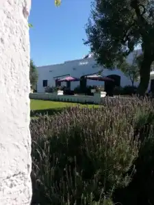 Masseria Bianca di Puglia - 3