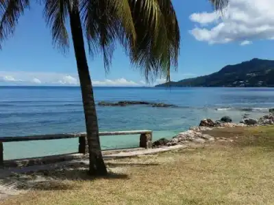 Beach Cove - 8