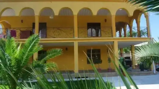 Alex Guest House - 7