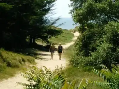 Camping la Forêt - 9