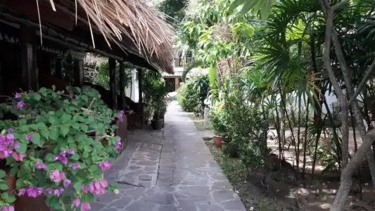 Papillon Resort - 104