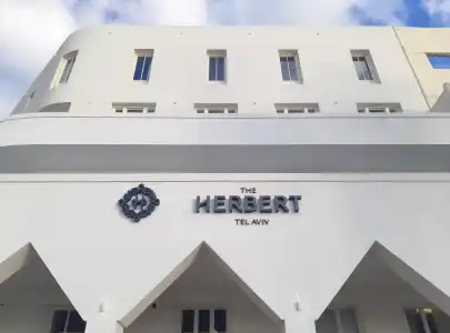The Herbert - 12
