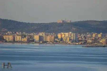 Aliko - 11