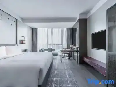 HUALUXE Xi an Chanba by IHG - 83