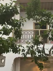 Riad Les Orangers d'Alilia - 66