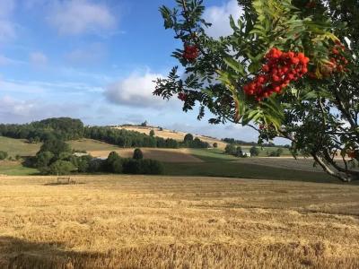 Dachsbaude & Kammbaude - 17