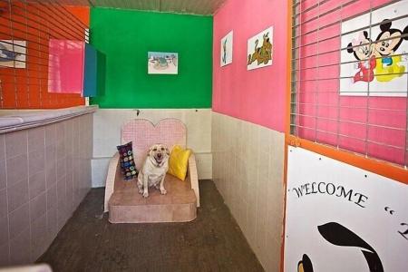 B&B Barletta Acasamia - 9