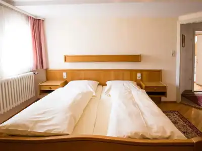 Hotel-Gasthof Goldener Greifen - 14