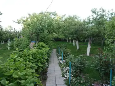 Guest House Moryachka - 10