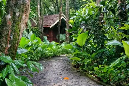 Khao Sok Riverside Cottage - 30