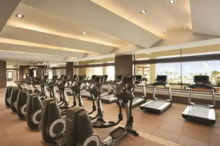 Hyatt Ziva Cancun All Inclusive - 28
