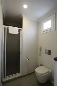 Artemis - 100