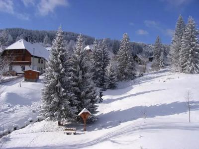 Schwarzwald-Pension Kräutle - 62