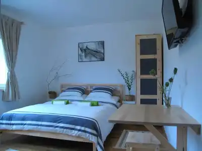 Guesthouse Bor - 16