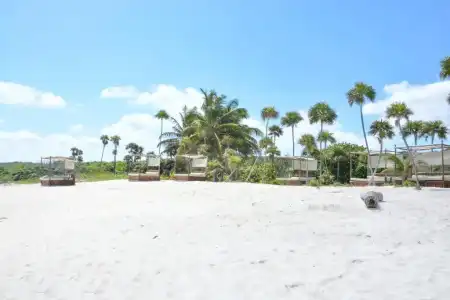 Caleta Tankah - 15