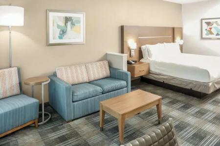 Holiday Inn Express & Suites HOUSTON WESTCHASE - WESTHEIMER by IHG - 66