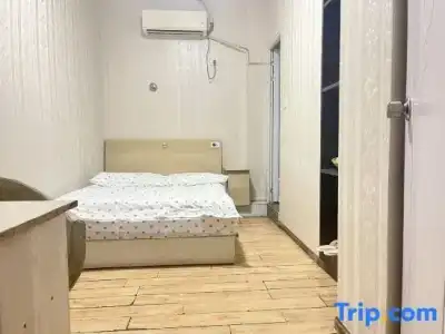 Wanfeng - 23