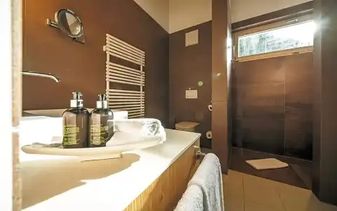 Waldhuus Davos - 100