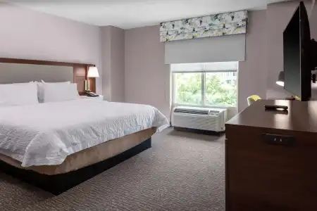 Hampton Inn & Suites by Hilton Arlington Crystal City DCA - 4