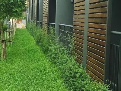Pocket Park Chaiyaphum Apartment - 9