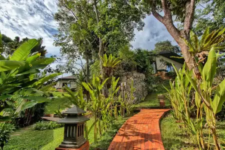 Mangosteen Ayurveda & Wellness Resort - 22