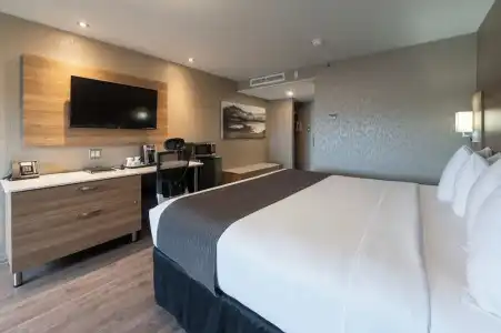 Hôtel & Suites le Dauphin Québec - 67
