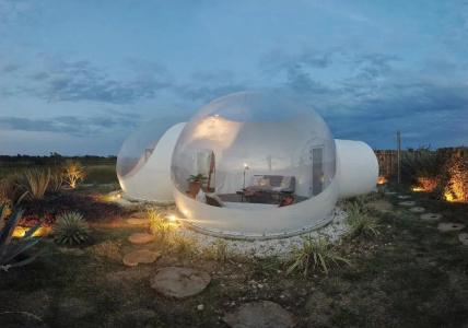 Green Land Bubble Glamping - 16
