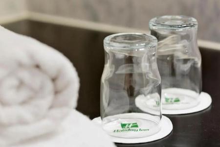 Holiday Inn VIENNA CITY by IHG - 94