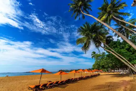 Calamander Unawatuna Beach - 13