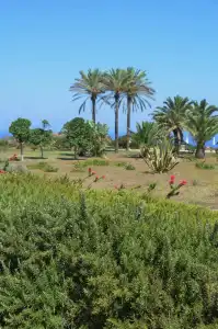 Zubebi Resort - 20