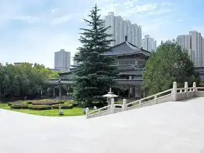 Pai Xi'an Electronic Zheng Street - 3