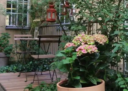 Amstel House Hostel - 24