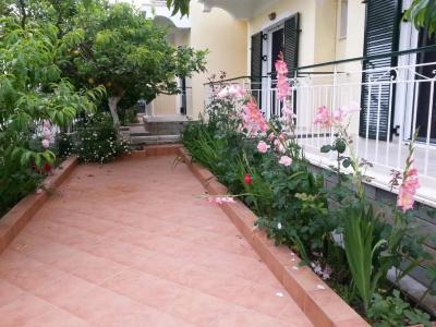 Elenas Garden - 25
