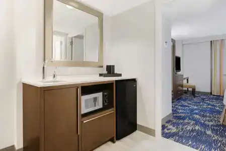 Embassy Suites by Hilton Alexandria Old Town - 5