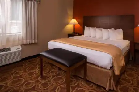 Best Western Ambassador Inn & Suites - 183