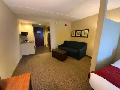 Comfort Suites Fredericksburg North - 84