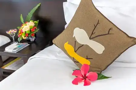 Hoi An Emotion Boutique Villa - 96