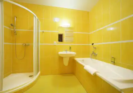 Záviš z Falkenštejna - 26